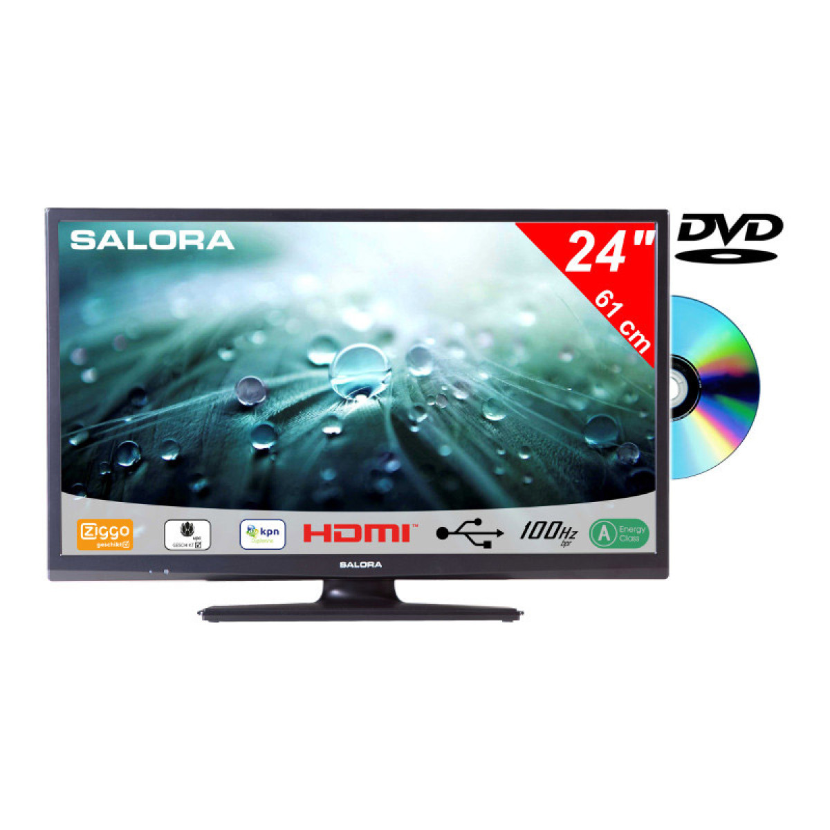 SALORA 24 LED 9109CTS2 SMART WIFI DVD